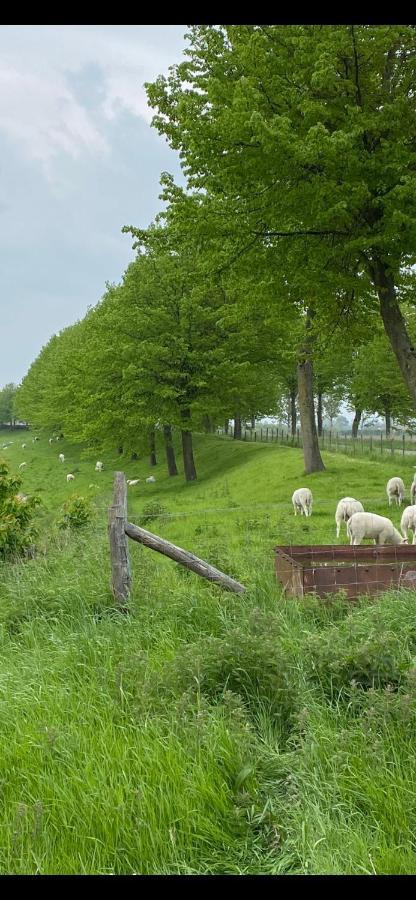 Bungalow Scheldezicht In Zeeland Dicht Bij Zee Scherpenisse Exteriör bild